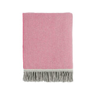 Foxford Lamswollen Cashmere Deken Pink