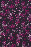 Lighthouse Jurk Ivy Raspberry Floral